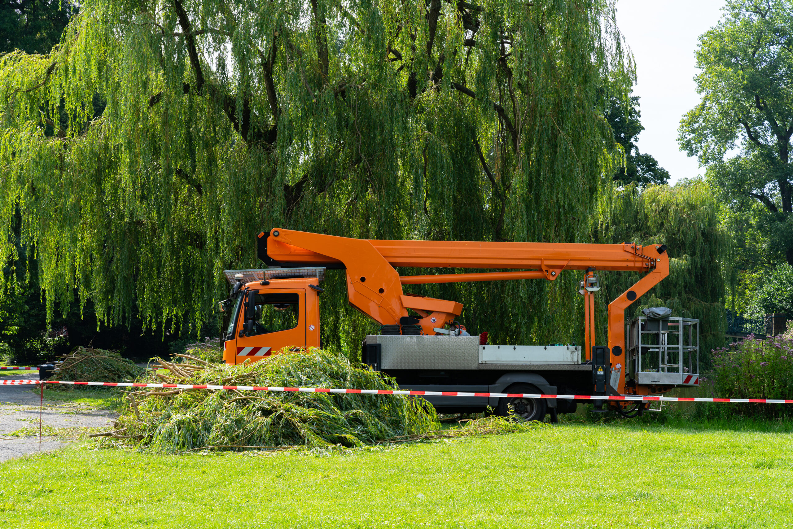 Professional Tree Care Services in Oak Creek, Wisconsin
